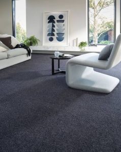 What type of carpet for a house